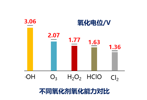 臭氧催化氧化廢水深度處理裝置